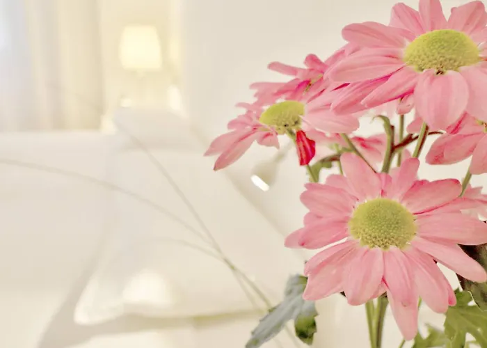 Atico Con Terraza En Pleno Centro *