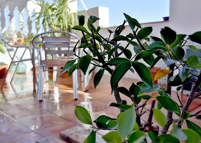 Atico Con Terraza En Pleno Centro Apartment *